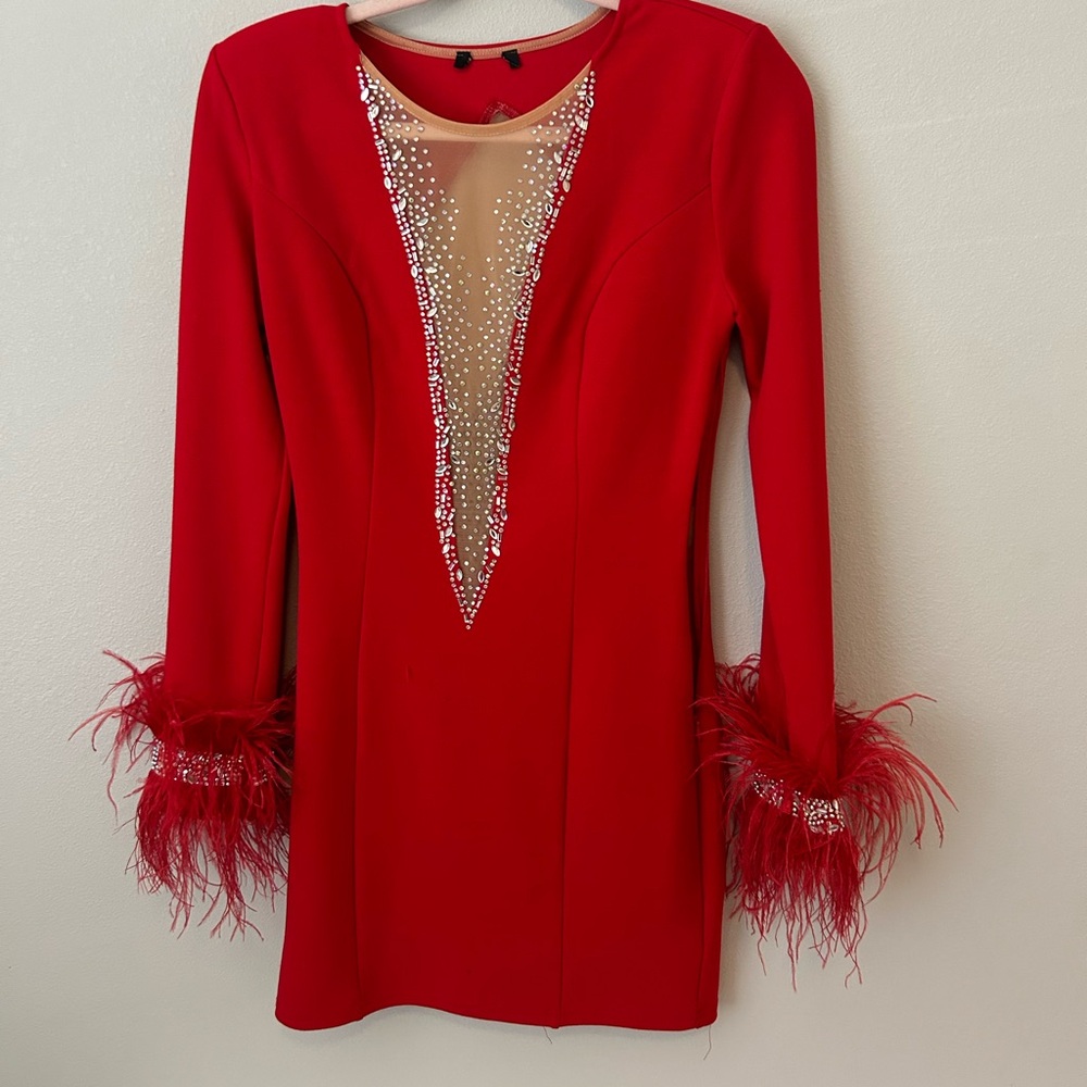 Red dress with feathers on the sleeves